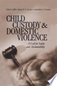 Child Custody & Domestic Violence : A Call for Safety and Accountability