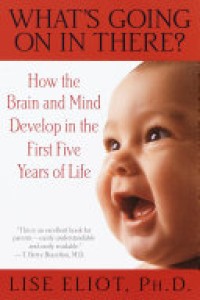 What's Going on in There ? How the Brain and Mind Develop in the First Five Years of Life